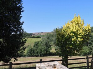 Un paysage rural caractérisé par un ciel dégagé, une zone délimitée par une clôture et une variété d’arbres, dont un arbre aux feuilles jaunes.