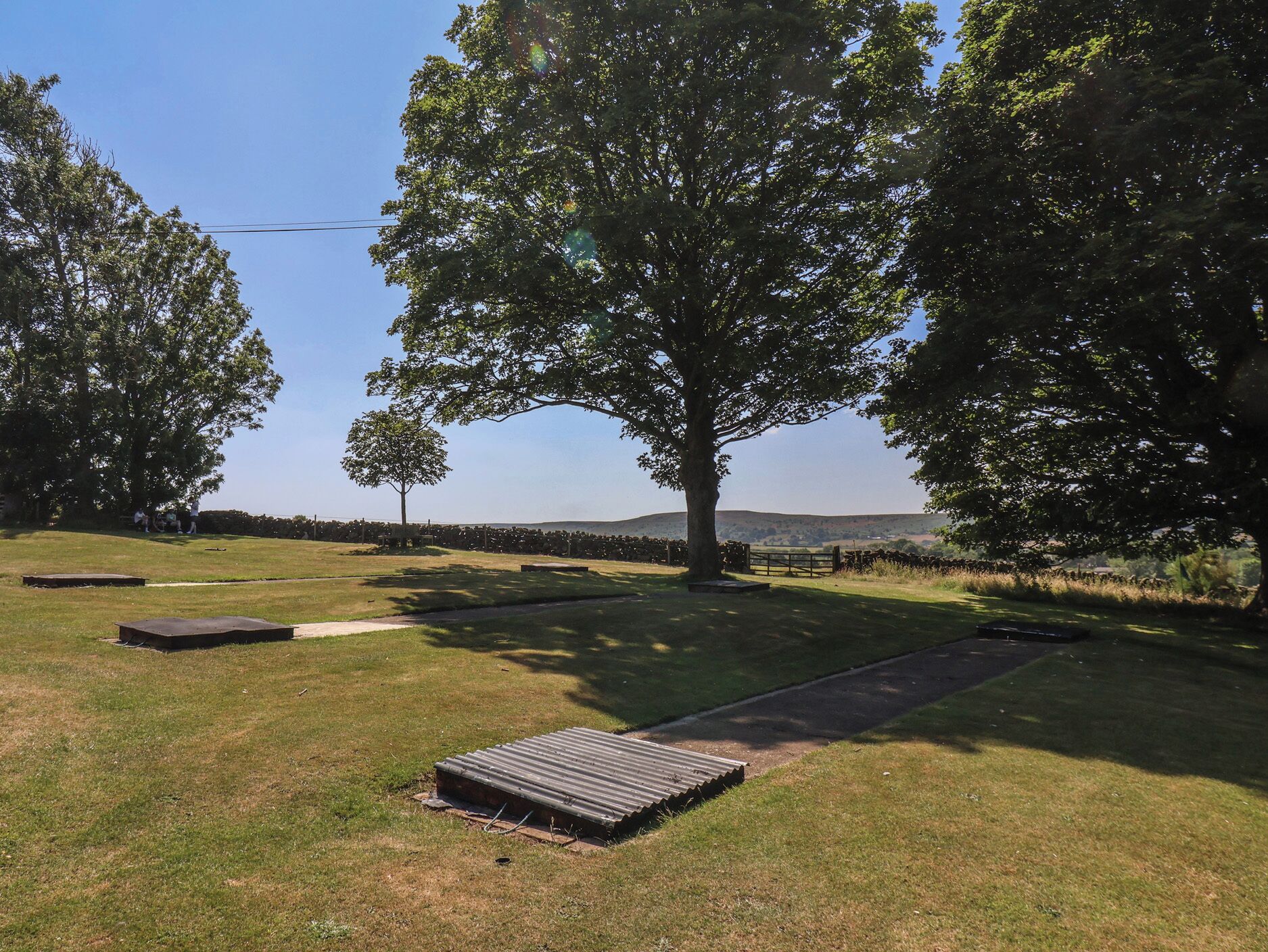 A grassy outdoor area with trees, a stone wall, and a paved path.