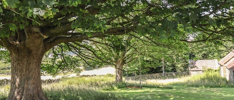 A large tree with a swing in a grassy area with stone walls and a building in the background.