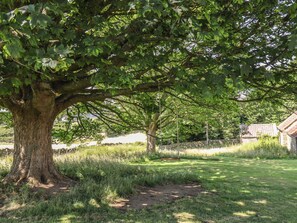 Ein großer Baum mit einer Schaukel in einer grünen Rasenfläche, umgeben von Steinmauern, mit einem Gebäude im Hintergrund.