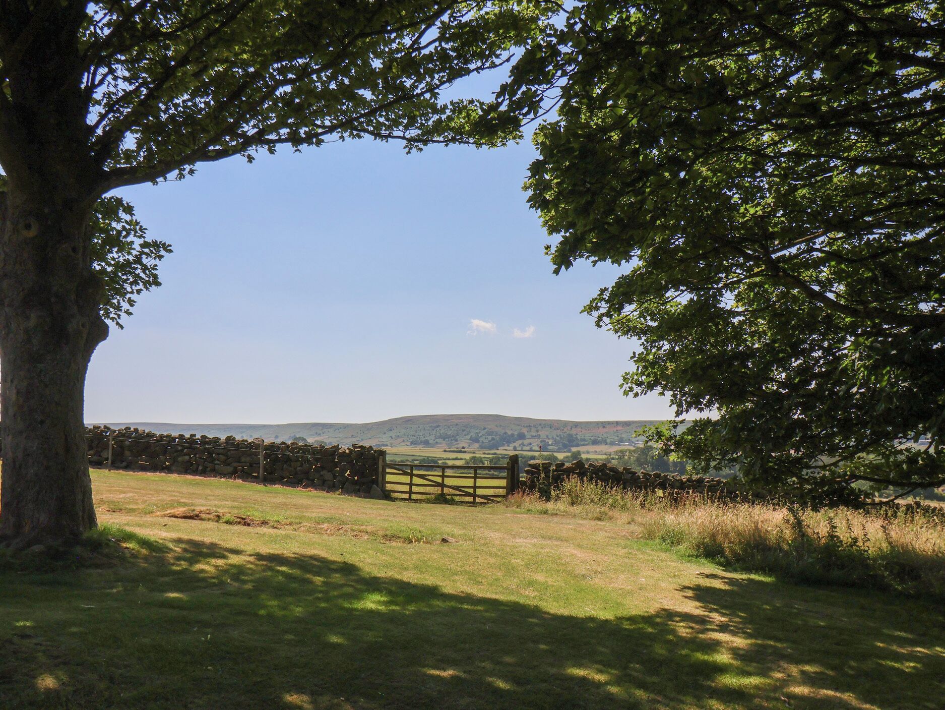 A rural landscape with a stone wall, a wooden gate, and a tree providing shade.