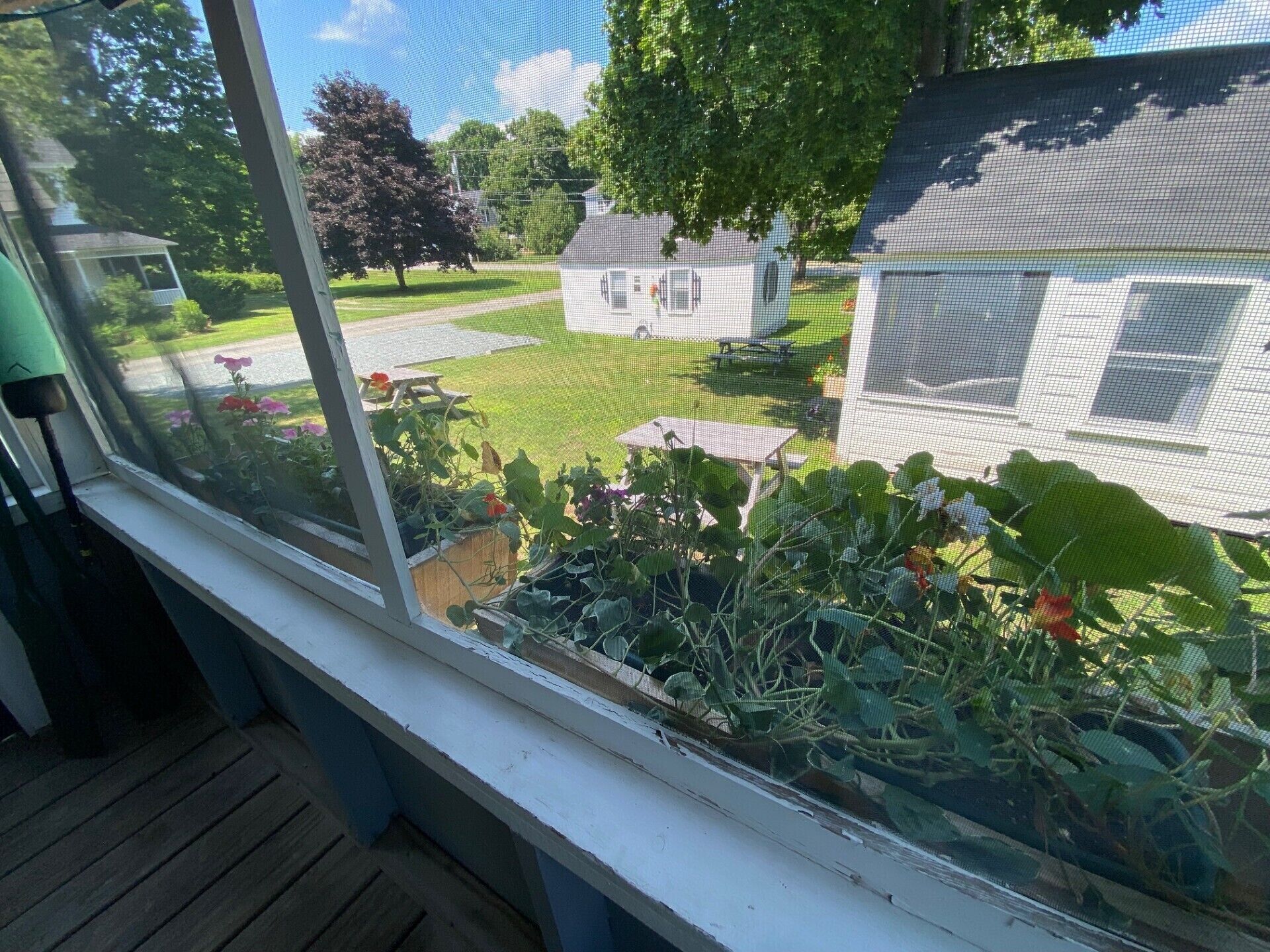 Studio Suite, 1 Queen Bed | Terrace/patio