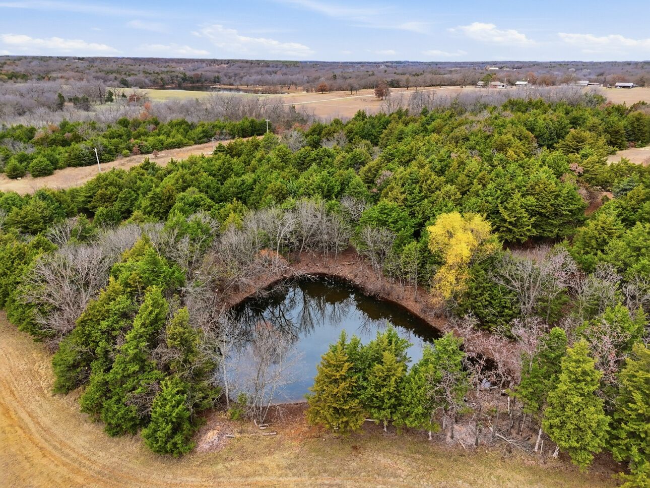 Vista aerea di un paesaggio naturale con uno stagno, circondato da fitta vegetazione e un cielo sereno.