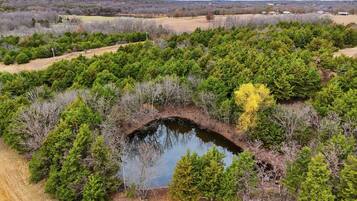 Vista aerea di un paesaggio naturale con uno stagno, circondato da fitta vegetazione e un cielo sereno.