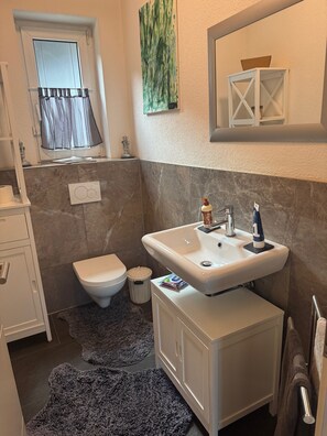 Dusche, Haartrockner, Handtücher