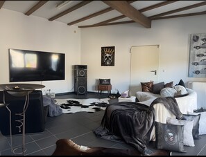 Fernseher