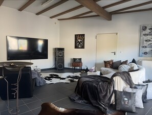 TV - Deluxe Loft Hegau-Bodensee (Hilzingen)
