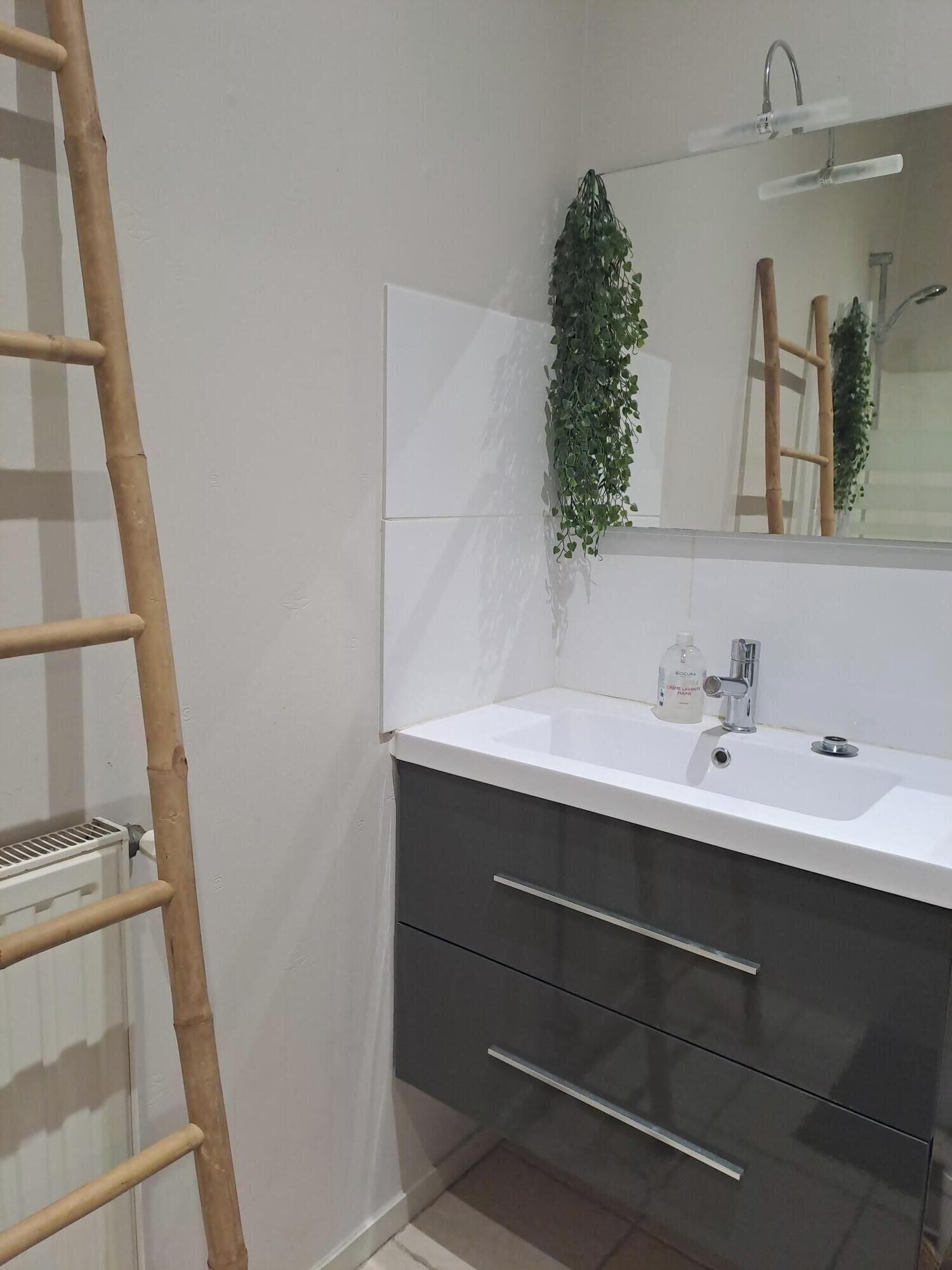 A bathroom with a white sink, dark drawers, a mirror, and a hanging plant.