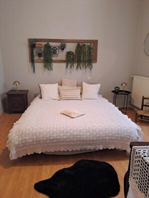1 bedroom, iron/ironing board, internet, bed sheets - Large bright apartment 70m2, Le Bohème, near castle and shops (Saumur)