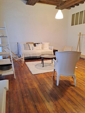 1 bedroom, iron/ironing board, internet, bed sheets - Large bright apartment 70m2, Le Bohème, near castle and shops (Saumur)