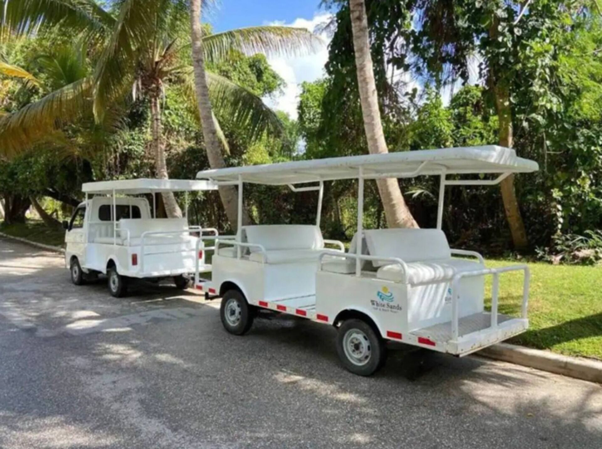 Two white golf carts parked on a street with palm trees in the background.