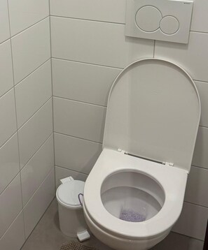 Towels, soap, toilet paper