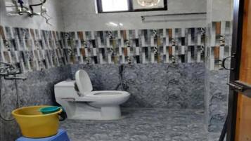 Shower, bidet, towels, soap