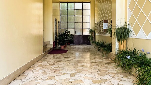 Un couloir avec un sol carrelé, des plantes en pot et une porte au fond.