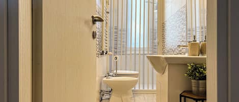 Shower, hair dryer, bidet, towels
