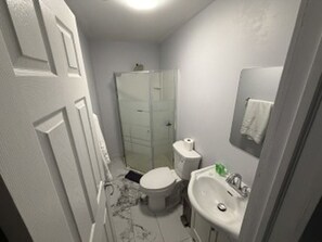 Deluxe studio suite, 2 tweepersoonsbedden, keuken | Badkamer | Een douche, een haardroger, handdoeken, zeep