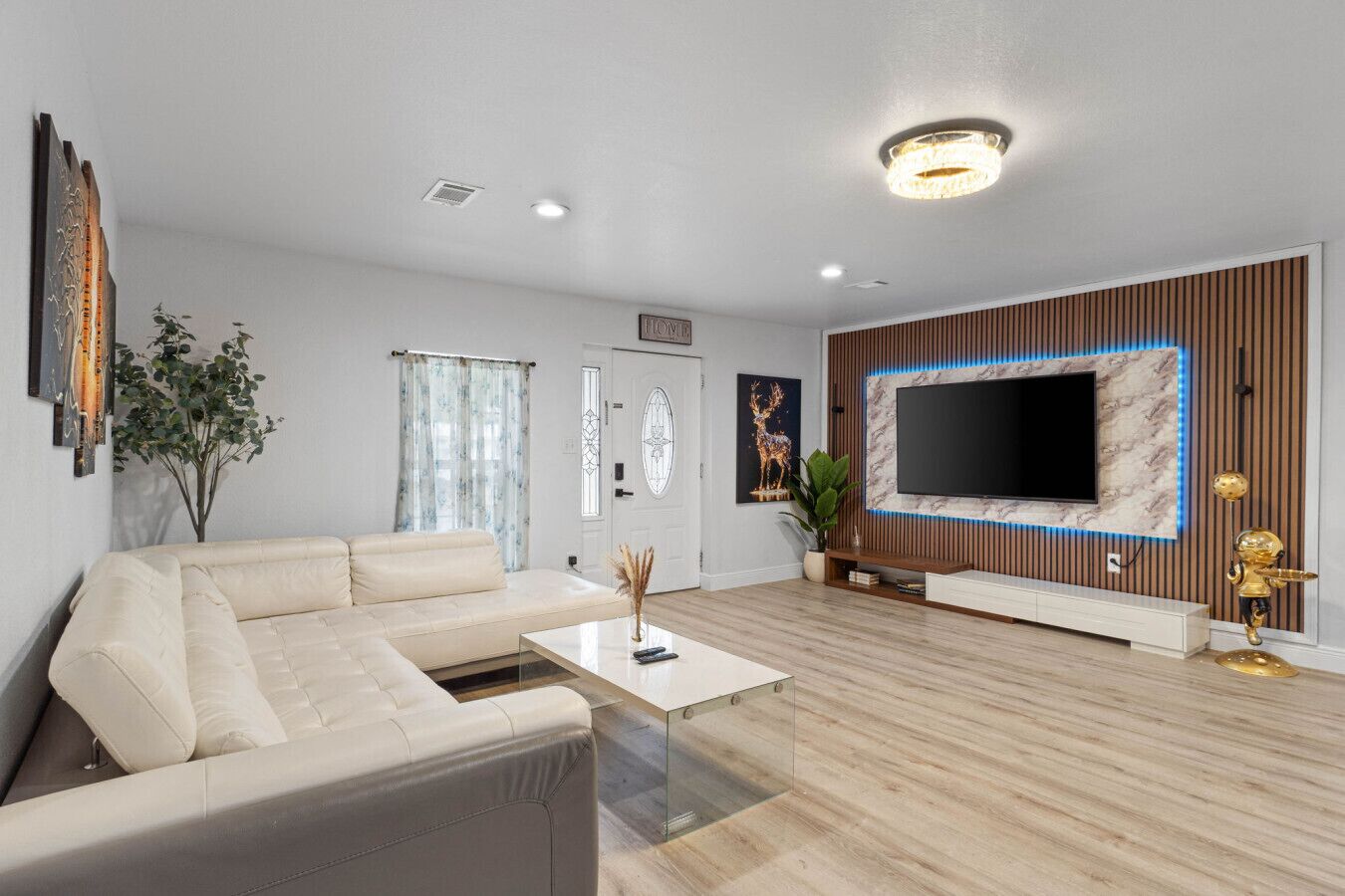 TV