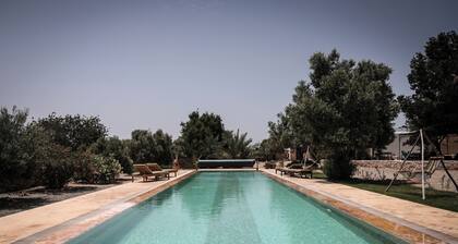 Villa des Arganiers
Maison d'hĂŽtes / Privatisations
Piscine chauffée