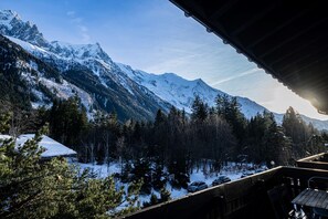 Property grounds - Balcons de Champraz- Spectacular Mont Blanc and Lake Views (Chamonix-Mont-Blanc)