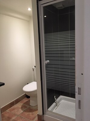 Shower, hair dryer - Gîte des Lavandes (MONTAGNAC MONTPEZAT)
