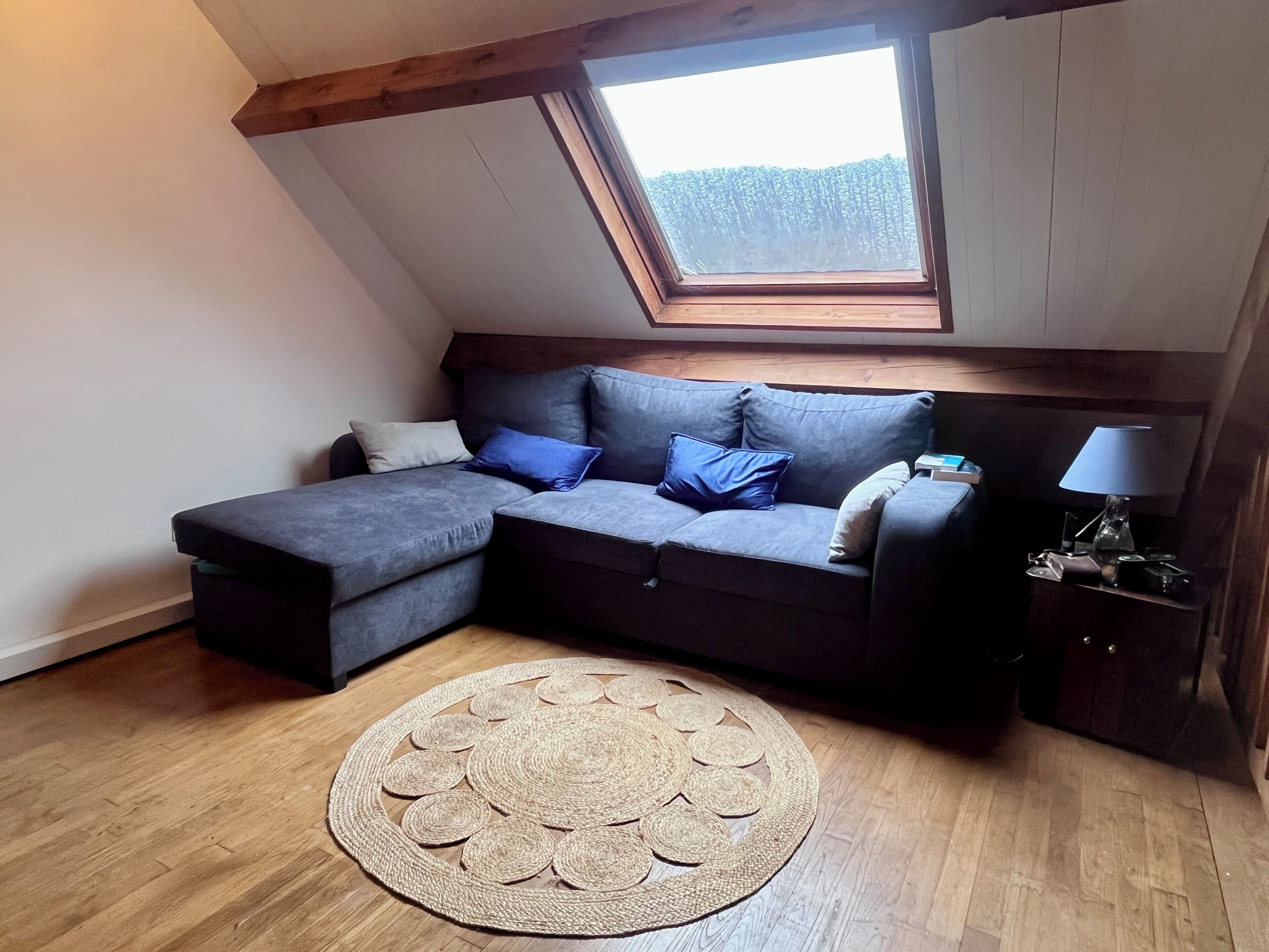A cozy room with a sectional sofa, a small rug, a lamp, and a skylight.