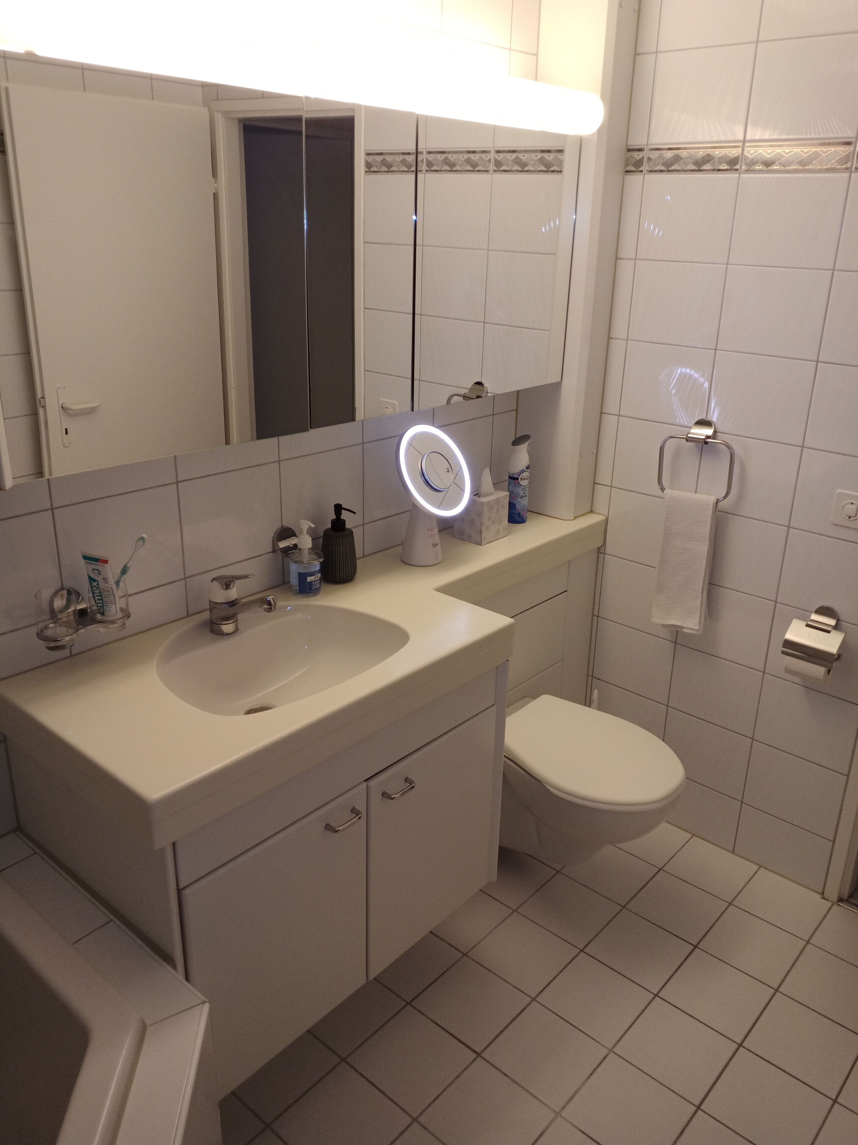 Hair dryer, towels, soap, toilet paper