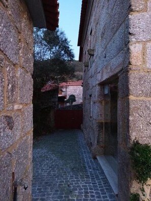 Maison familiale, vue sur le jardin | Détail de l’extérieur