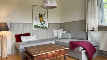 TV connectée, cheminée, livres