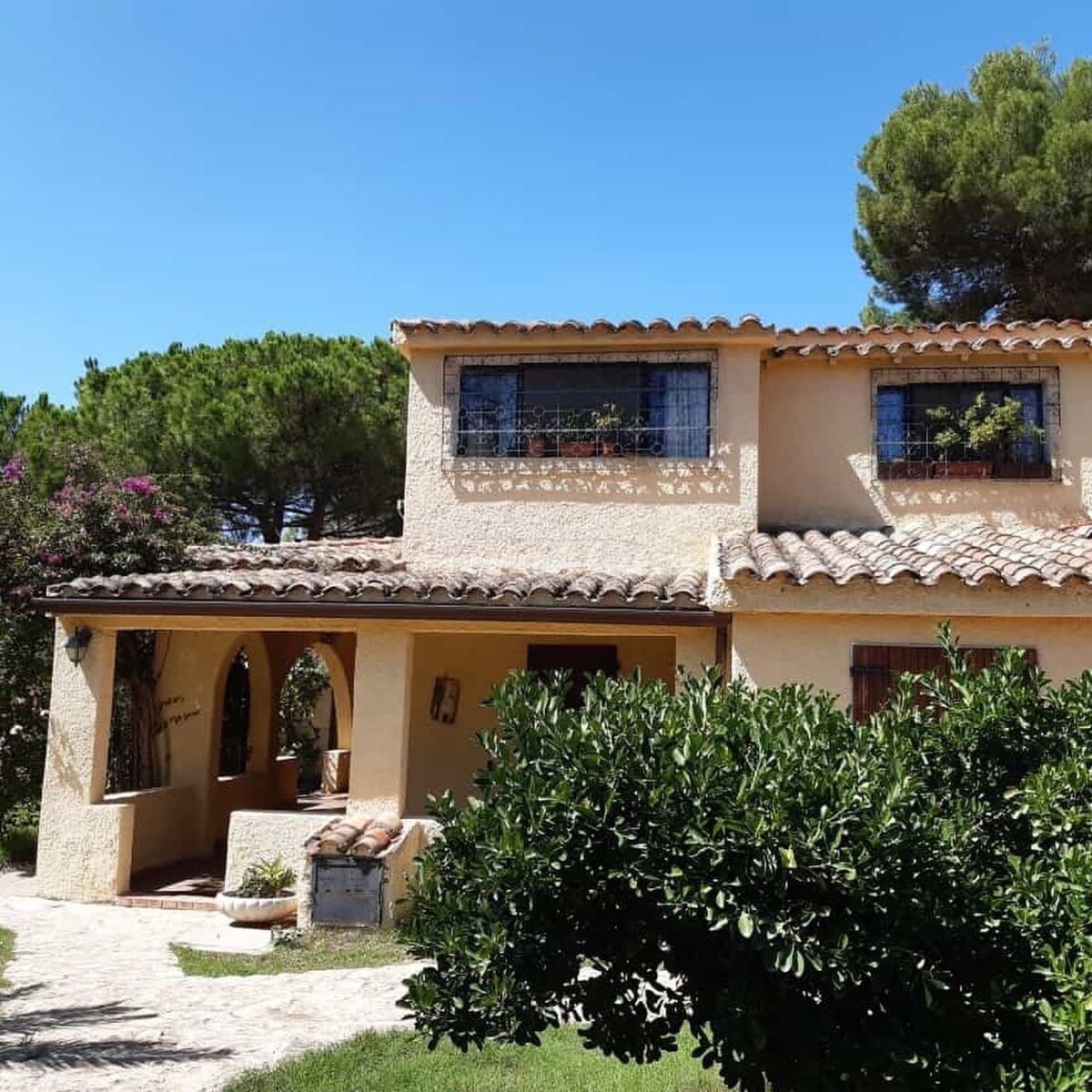 Imagen de perfil del propietario o de la propietaria