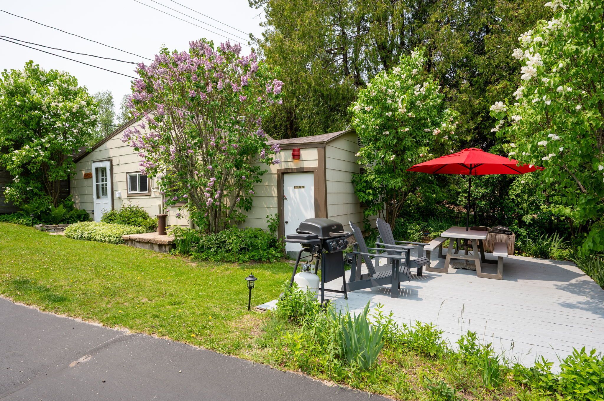 Un espace extérieur aménagé avec un barbecue, une table de pique-nique et un parasol.