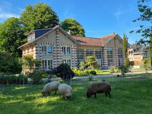 Áreas de la propiedad