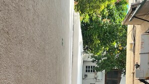 A narrow pathway flanked by plants and a tiled floor leading to a building entrance. - HOSTAL MID GY (Mérida)