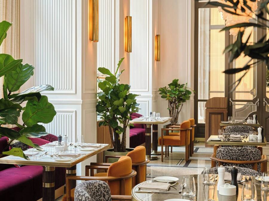 Comedor con mesas dispuestas para dos, sillas tapizadas y una planta grande en maceta.
