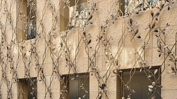 Vista dalla struttura