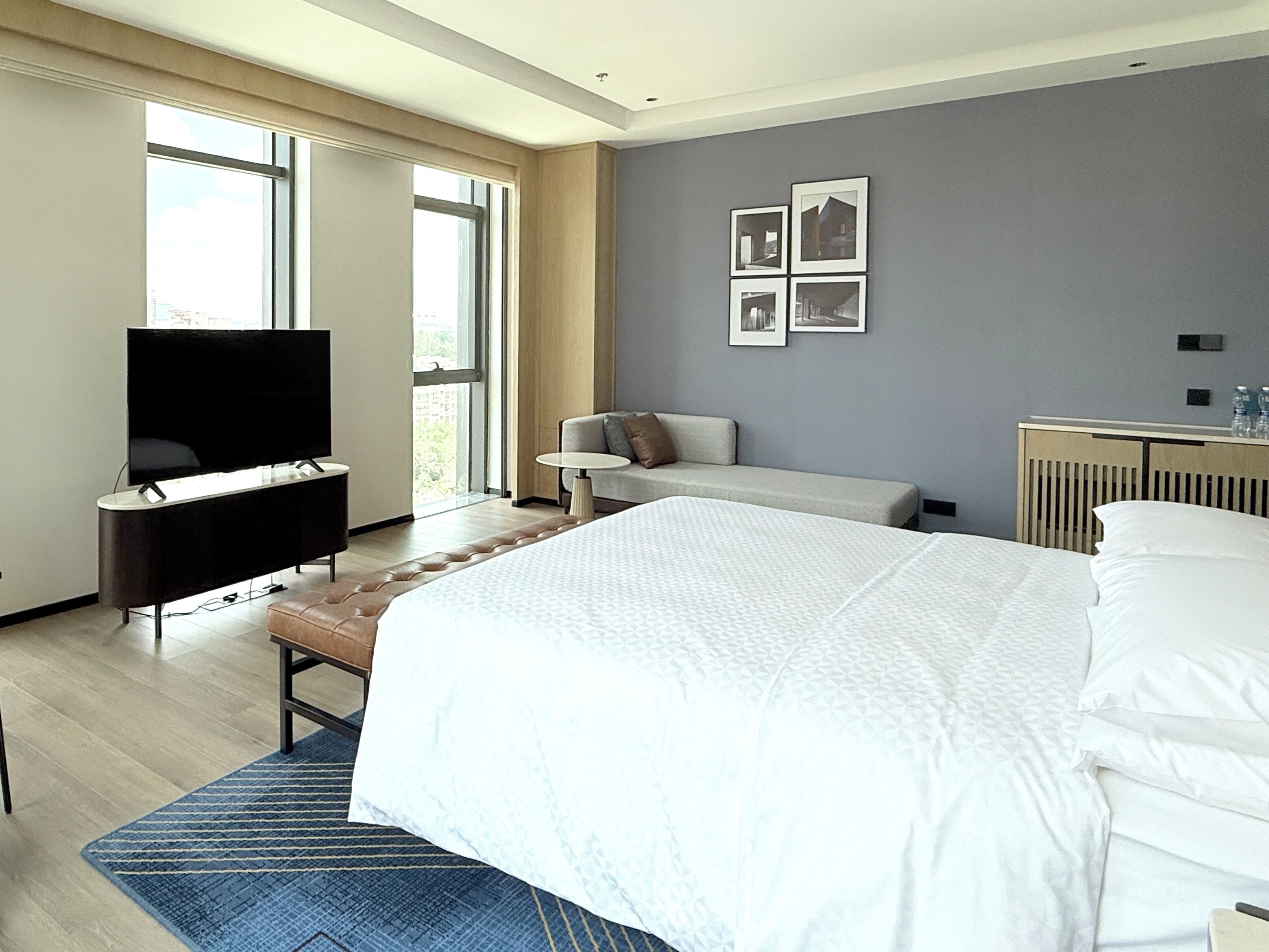 Premium Room, 1 King Bed, City View | Down duvets, minibar, in-room safe, desk