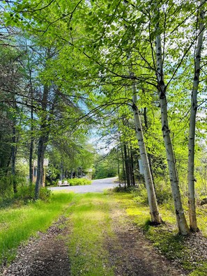 Property grounds - Rustic Wave Cottages (Port Blandford)