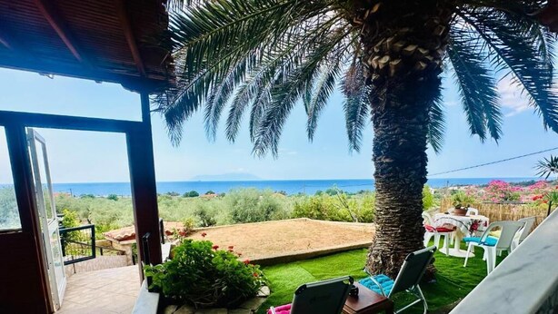 Un espace patio offrant une vue sur l’océan, avec un palmier et un petit jardin.