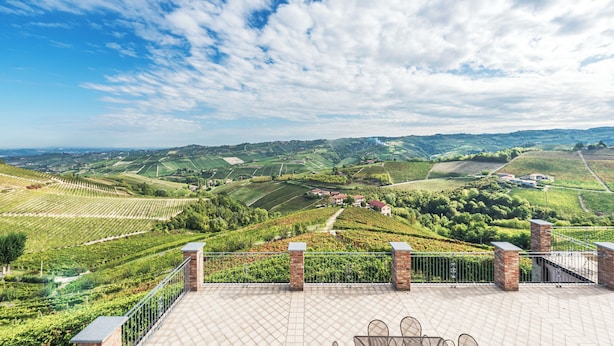Weinlandschaft mit terrassierten Feldern und Blick von einer Terrasse mit Geländer.