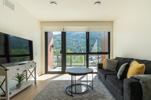 Fernseher