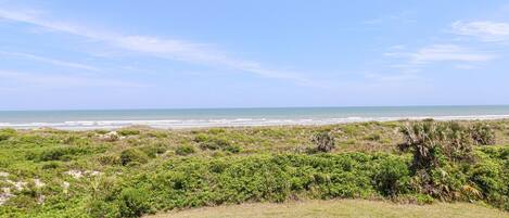 A coastal landscape with a grassy foreground, dense vegetation, and a clear view of the ocean.