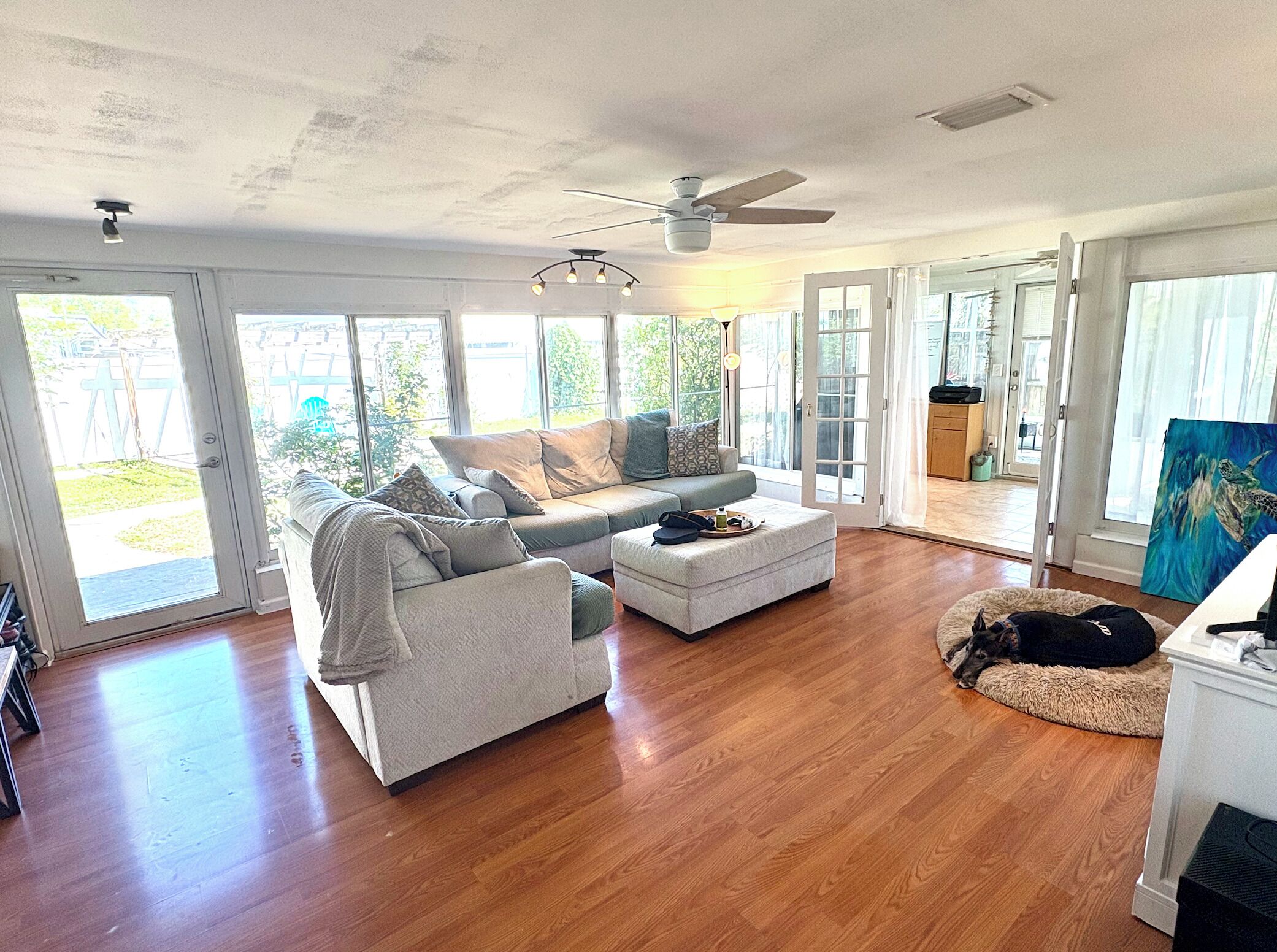 Smart TV, computer monitors, printers