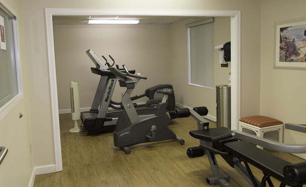 A gym with a treadmill, bench press, and a small stool.