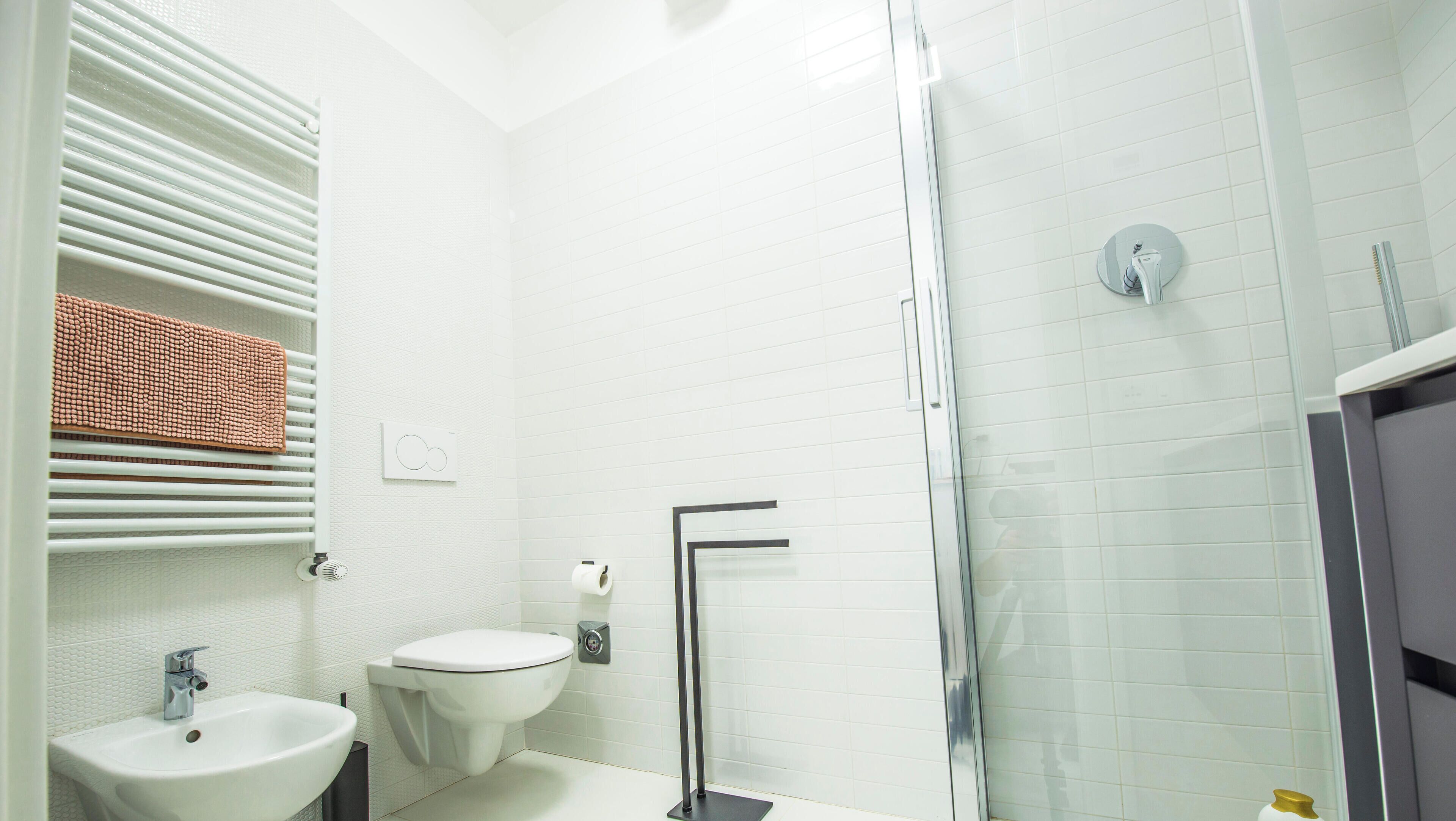 Dusche, Haartrockner, Bidet, Handtücher