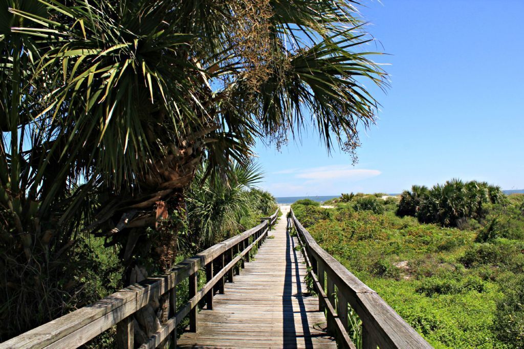 Une promenade en bois qui mène à une plage bordée de palmiers et de végétation côtière.