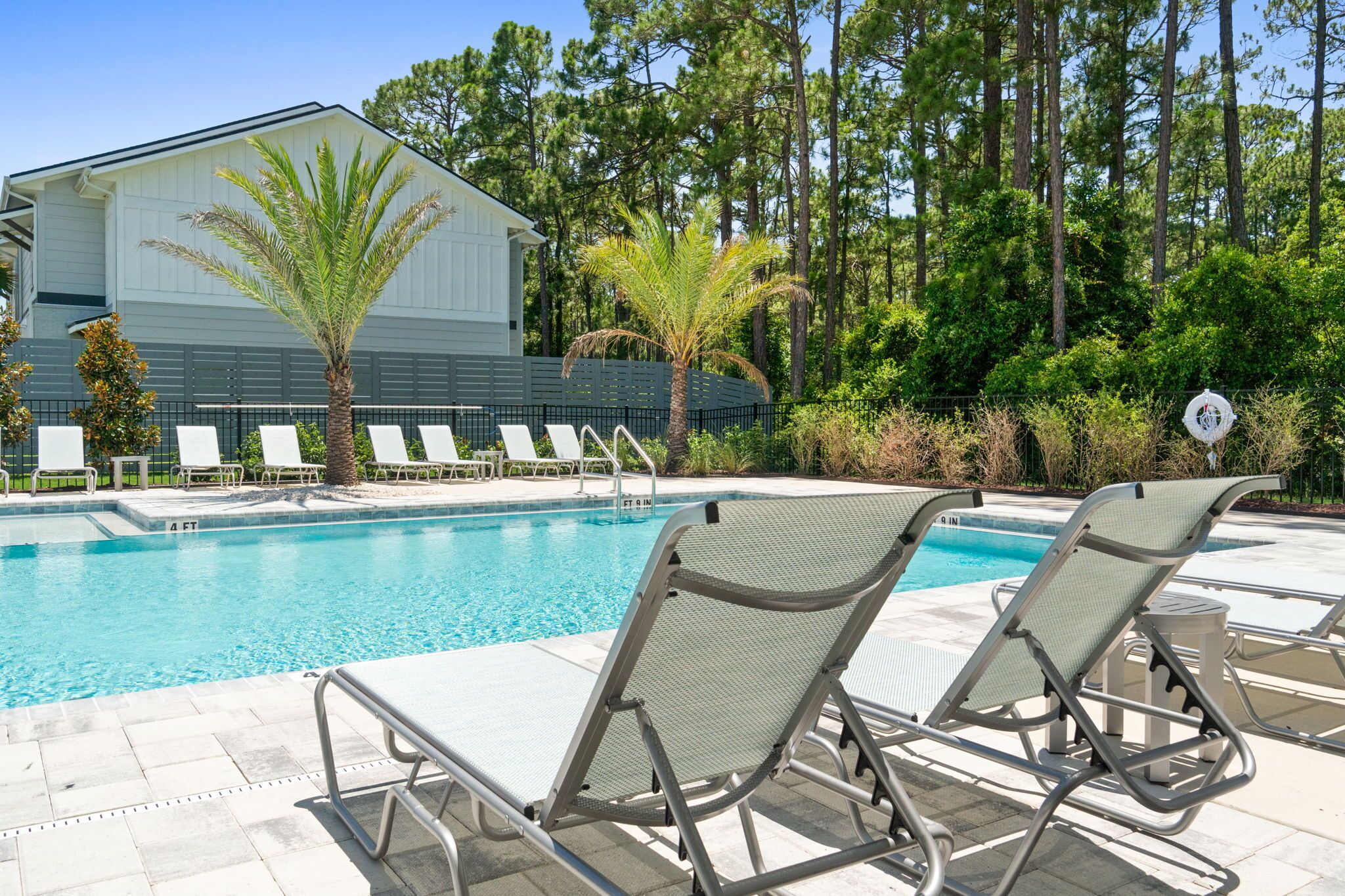 A pool area with lounge chairs, a palm tree, and a building in the background.