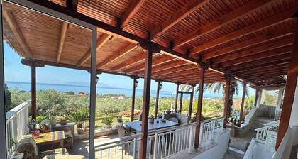 Blue Panorama Marilyn Semi Basement