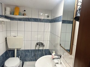 Une salle de bain équipée d’un WC, d’un lavabo et d’une douche. On y trouve une étagère avec des articles de toilette et un miroir.
