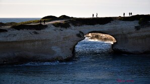 Un pont côtier doté d’un arc naturel au-dessus de l’eau, entouré de zones verdoyantes et où l’on peut voir des gens se promener.