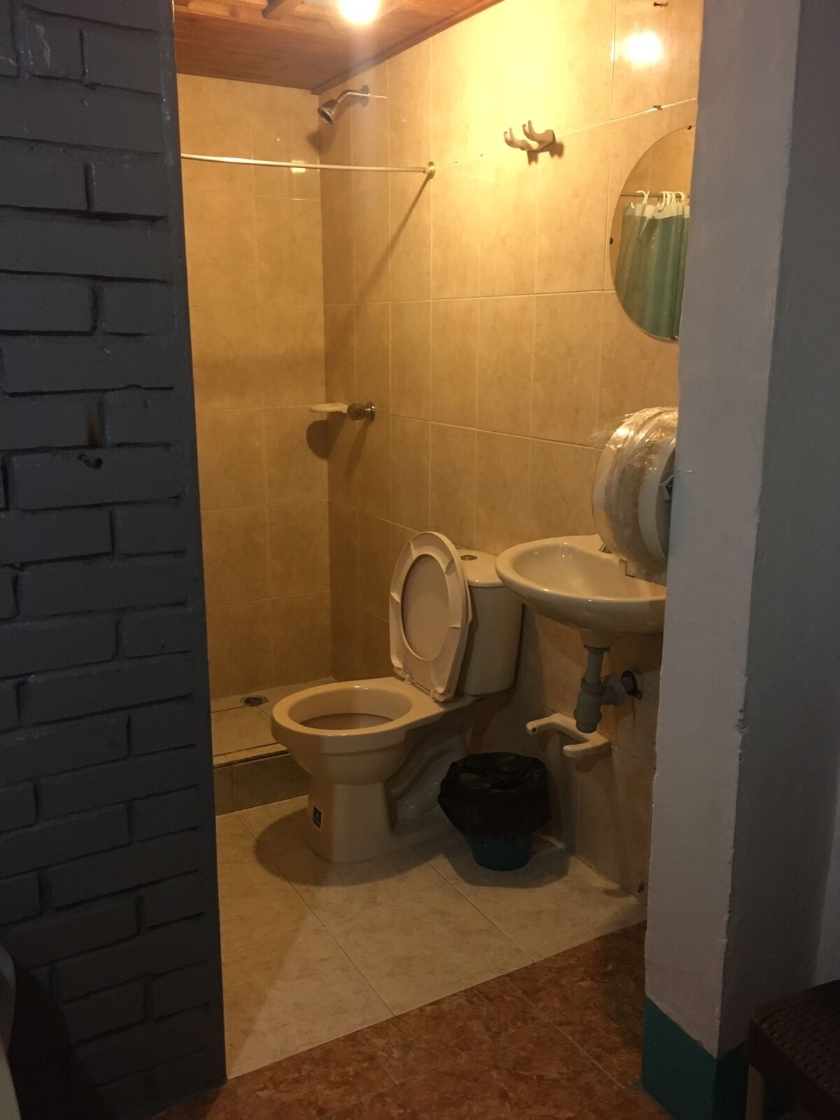 Shower, towels, soap, toilet paper