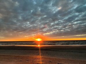 Beach - `Palms` Gulf-View Historic Beachside Cottage 2/1 (Indian Rocks Beach)